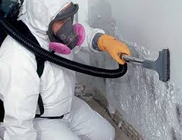 Best Mold Prevention Services  in Harbor Isle, NY